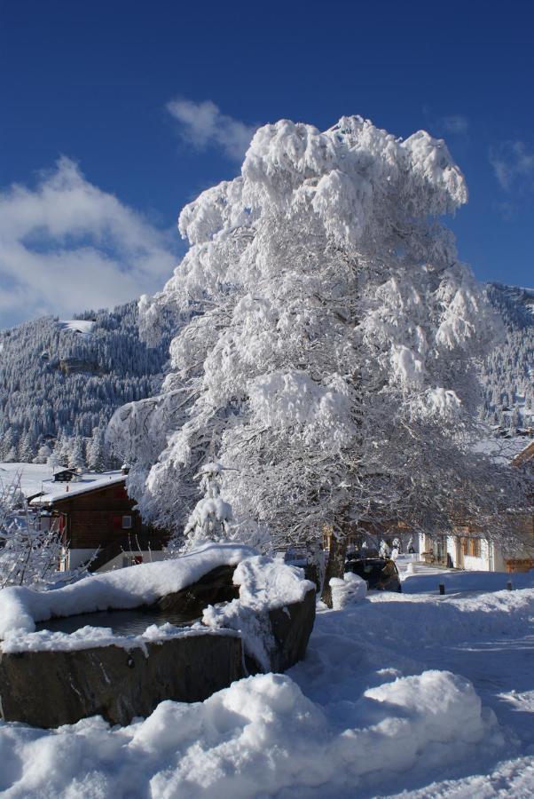 Ferien- Und Familienhotel Alpina Адельбоден Екстер'єр фото